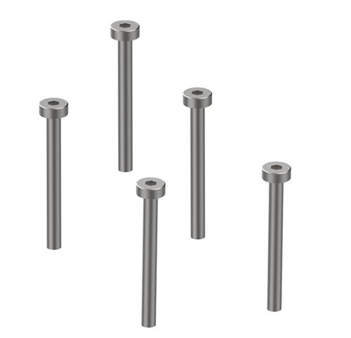 Stratos 200 Schrauben M2x20 (5)