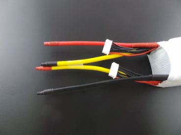 Preview: SLS Quantum 4000mAh 12S1P 44,4V 65C/130C SPLIT