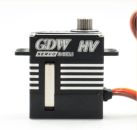 GDW DS290MG HV