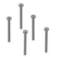 Stratos 200 Schrauben M2x20 (5)